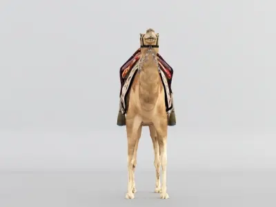 Camel 3D model