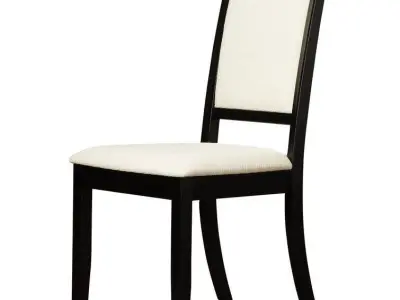 Rymer Tufted Side Chair in Black 3D model