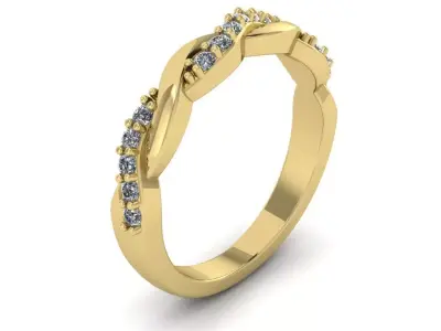 Alliance Braided ring 3D print model