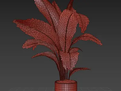 indoor plant 015 3D model
