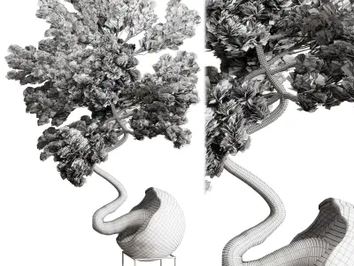 Bonsai 01 indoor plant pot concrete vase 3D model