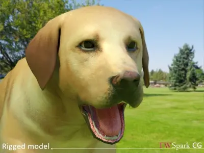 Low poly Labrador Dog Model Rigged Low-poly 3D model