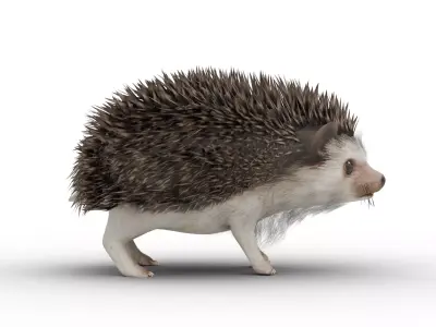 Hedgehog Low-poly 3D model