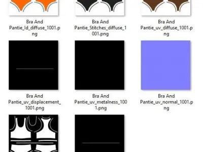 Bra Pantie  3D model