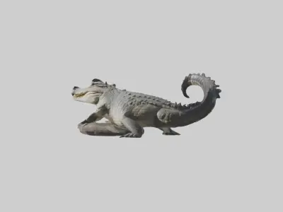 Freshwater crocodile Low-poly 3D model