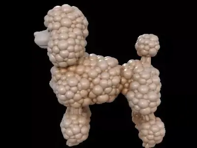 Cauliflower Textured Poodle 3D print model