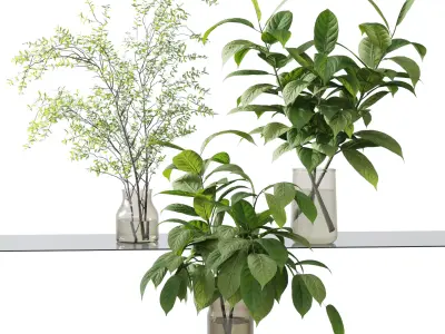 Collection Green Plants Bouquet Indoor 38 Low-poly 3D model