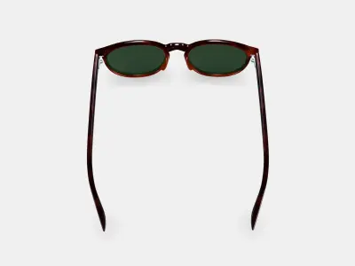 Biren Sunglasses in Cognac Tortoise Fade 3D model
