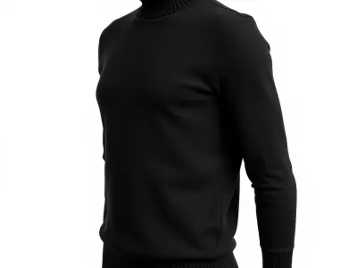 Turtleneck Sweater D Model Pack Low-poly 3D model