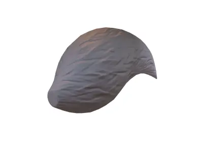 Fox Tail v1 003 Low-poly 3D model