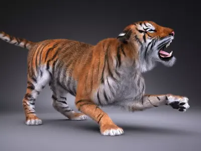 Sumatran Tiger for 3dsmax 3D model