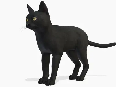 Cat - Bombay Low-poly 3D model