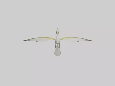 Rhamphorhynchus model Low-poly 3D model