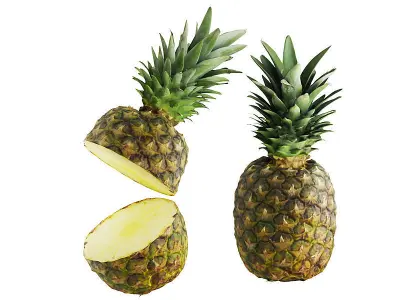 Pineapple BLENDER 3D Model Cycles 3D model