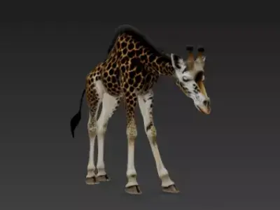 Elegant Tall Giraffe 3D Artistic Showpiece Design 3D print model