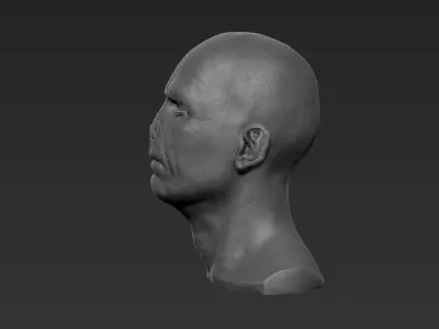 Voldemort Fan Art for 3d print 3D print model