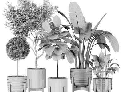 Plant Collection 06 3D model