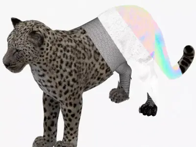 MAYA XGEN FUR Leopard  Low-poly 3D model