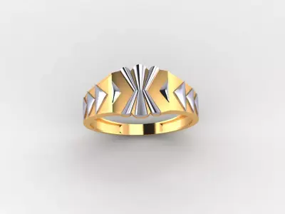 Classic Prestige Ring 3D print model