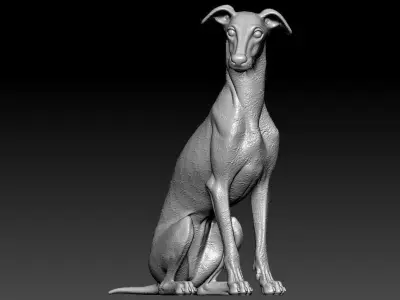Greyhound breed - Dog greyhound racing model - 3D print 3D print model