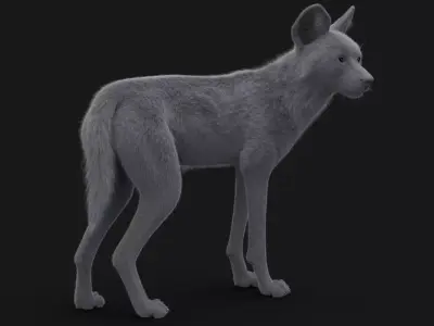 Wild Dog XGen 3D model