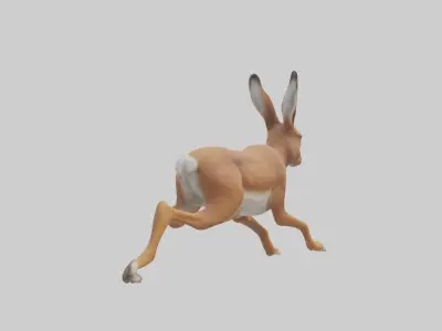 Hare running model Low-poly 3D model
