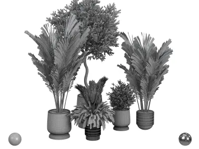 Plant collection  3D model