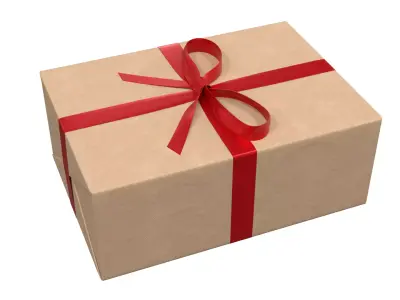Wrapped Gift Box PBR 10 3D model