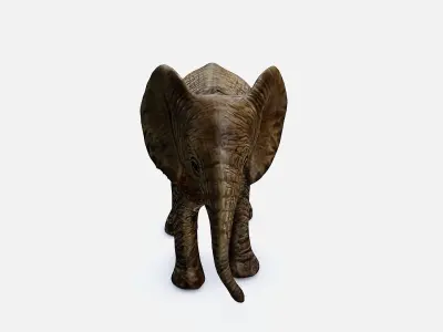 Elephant Low-poly 3D model