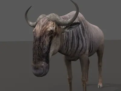 Wildebeest PRO Low-poly 3D model