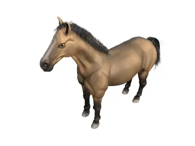 Horse 3D model 30