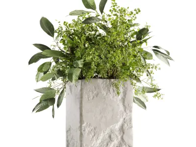 Plants Bouquets 3D model