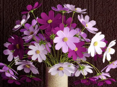 cosmos flowers 3D model