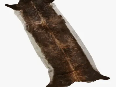 Super Long Stretched Cowhide Rug 3D model