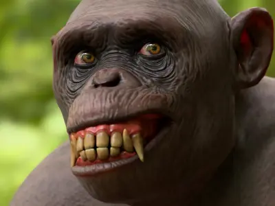 Rigged Hairless Chimpanzee Low-poly 3D model Low-poly 3D model