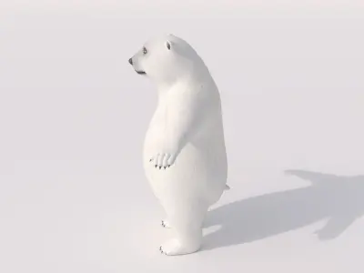 Baby Humanoid Polar Bear  3D model