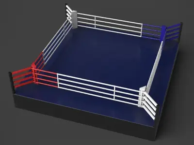 Boxing Ring 3D model