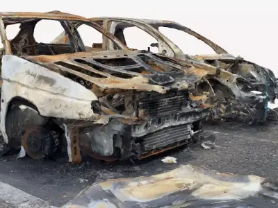 Burned Cars 3D print model