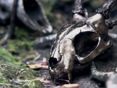 feline demon skull 3D model