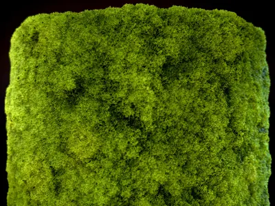 Seamless PBR Moss Substance Material Texture