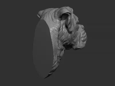Deutscher Boxer bust 3D print model