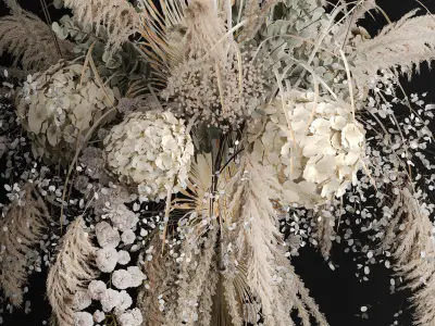 Hanging Installation Bouquet Of Dried Flowers Hydrangea pampas  3D model