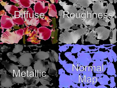 Elegant Orchid Flower Model Pack Low-poly 3D model