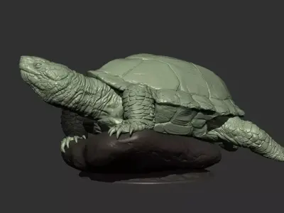 Turtle 3d model 3D print model
