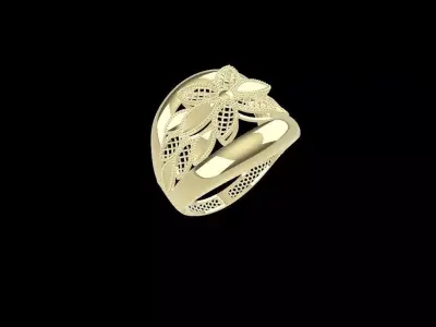rings 3D print model 13