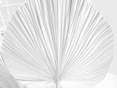 Bamboo fan  Free 3D model