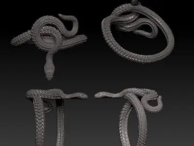The Snake Ring 3D print model