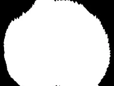 TIMBER STRUCTURE 3D model