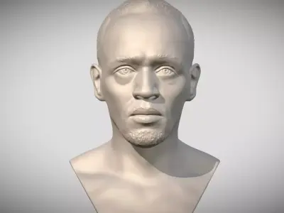 Usain Bolt bust 3D print model