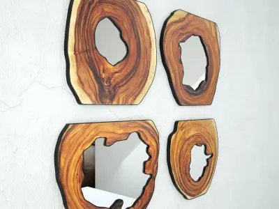 Organic Monkey Pod Mirrors 3 3D model